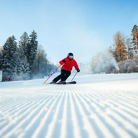 - Depandance Nova Javorka 3*