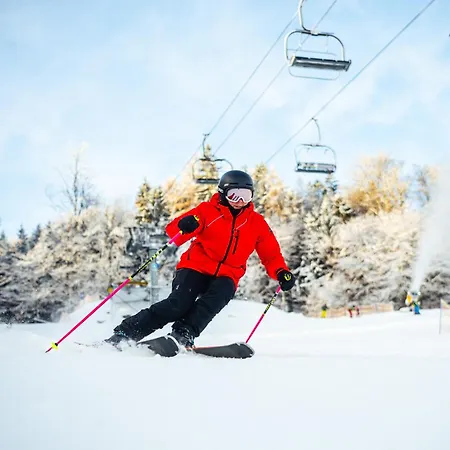 - Depandance Nova Javorka Отель 3*