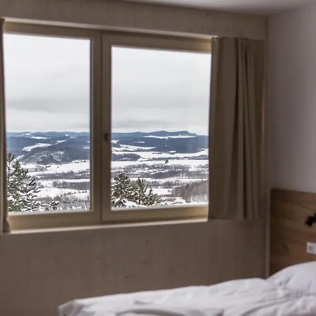 Hotel - Depandance Nova Javorka 3*