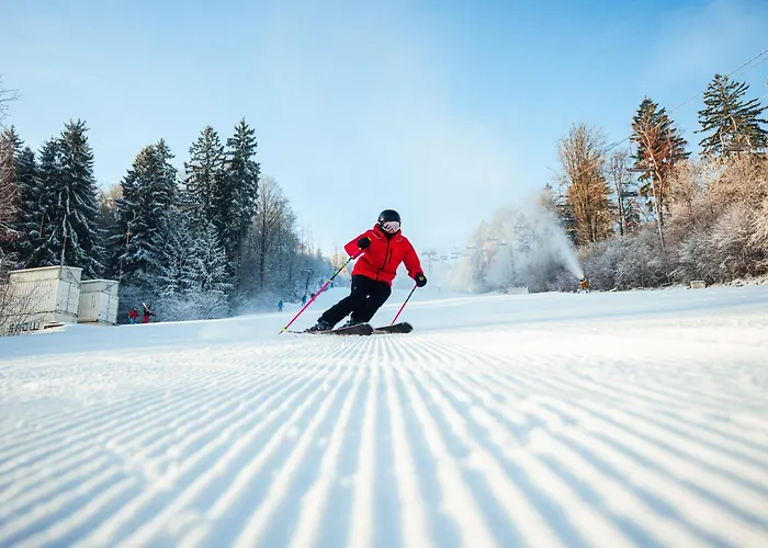 Monínec - Depandance Nová Javorka 3*